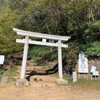 2、3合目撮り忘れる。