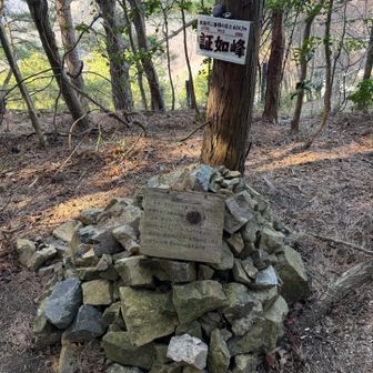 証如峰、登頂しましたー😊👍