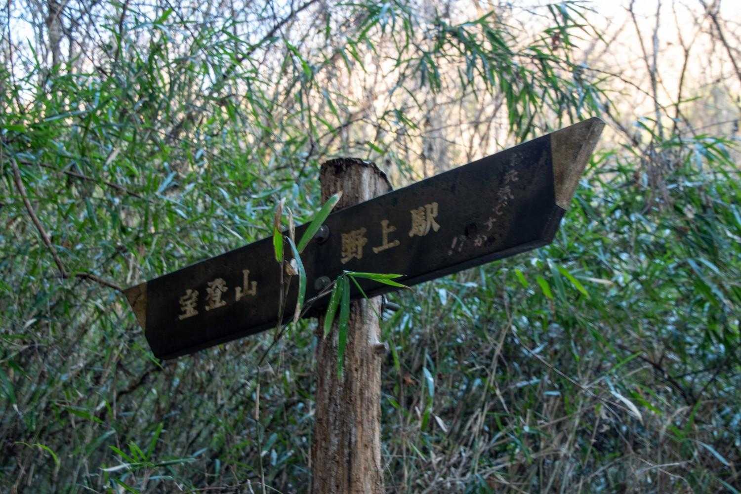 「お元気ですか！？」
まだスタートしたばかりでお元気です！！