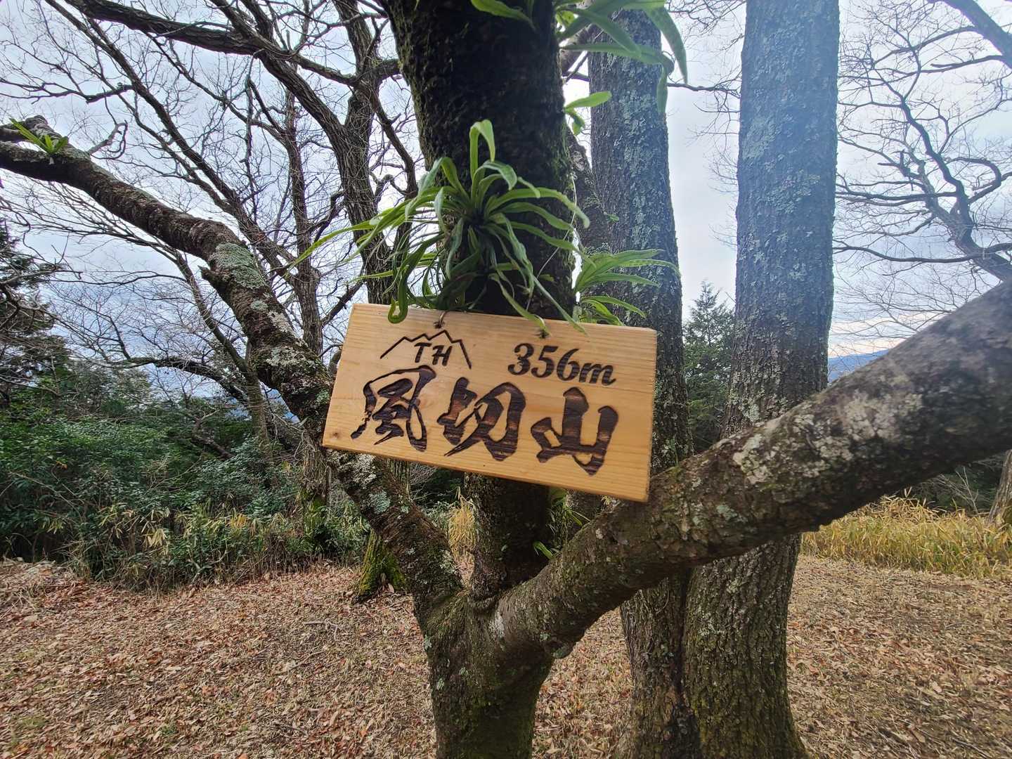 風切山 往復コースの写真