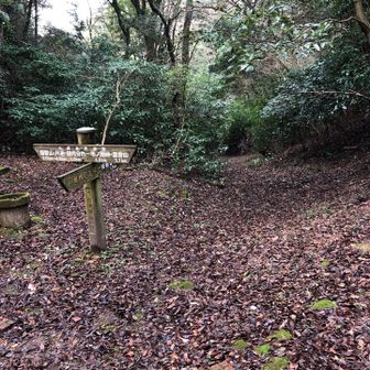 観音越え。ここから畑観音へ下山です