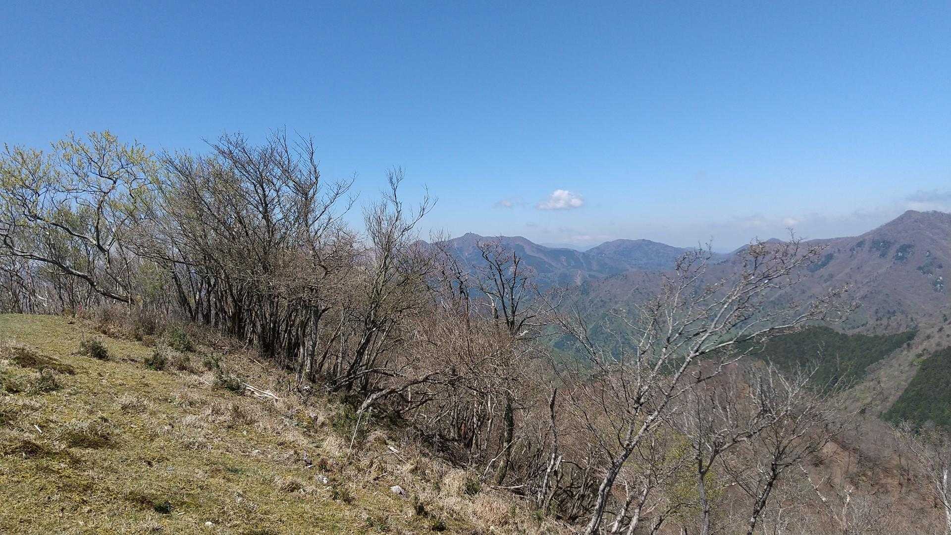 高丸山登山口-三つ尾の峠-高丸山-旗立山 周回コースの写真