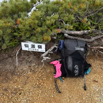 ここを過ぎれば普通の登山道になるってすれ違いの人からうかがいました。
ここまでけっこう手も使う岩場が続いてヘトヘト😓