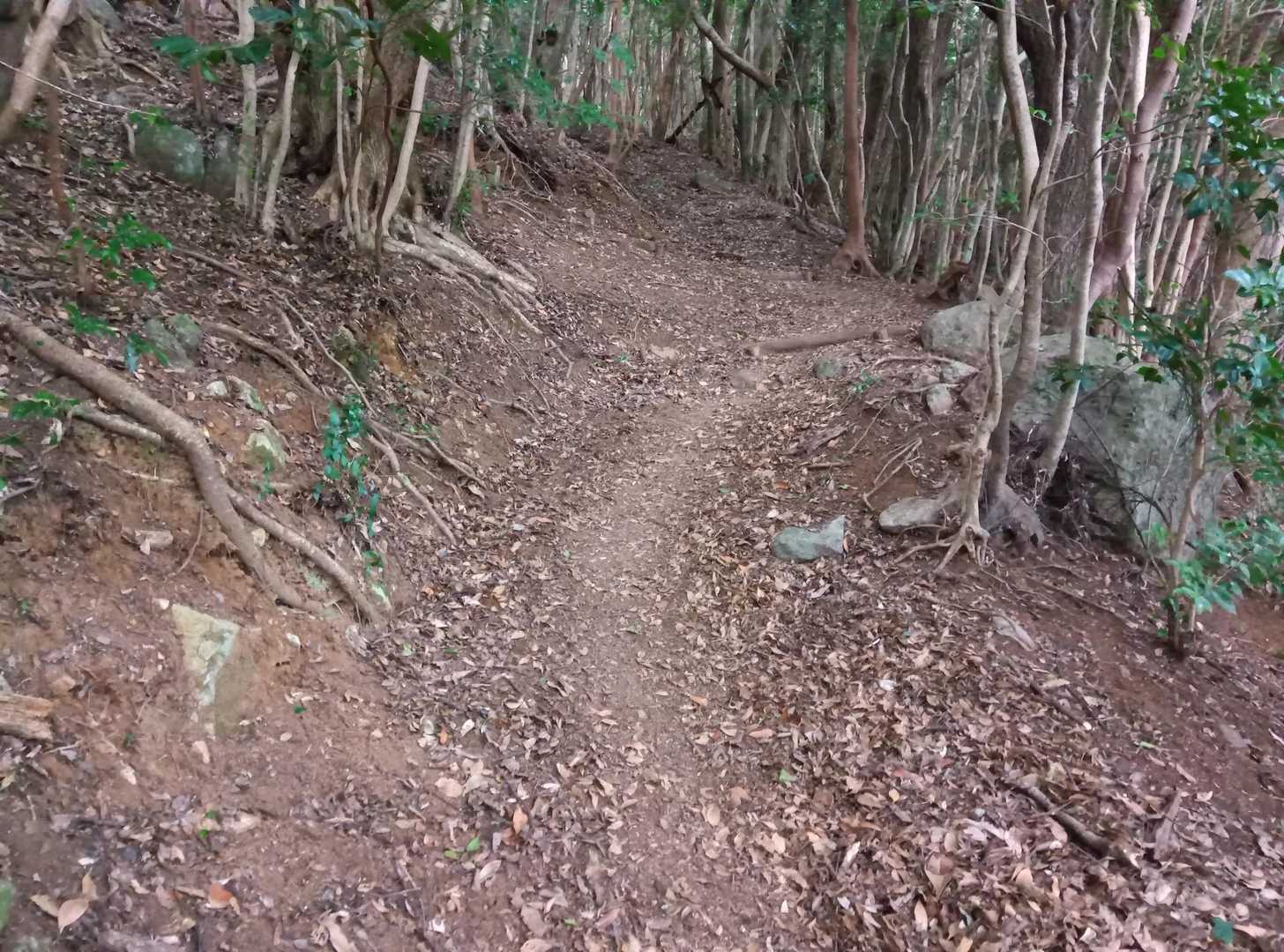 熊ノ岳 往復コースの写真