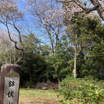 鉢伏山山頂到着。