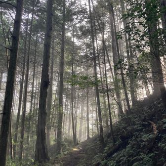 朝もやの山歩き