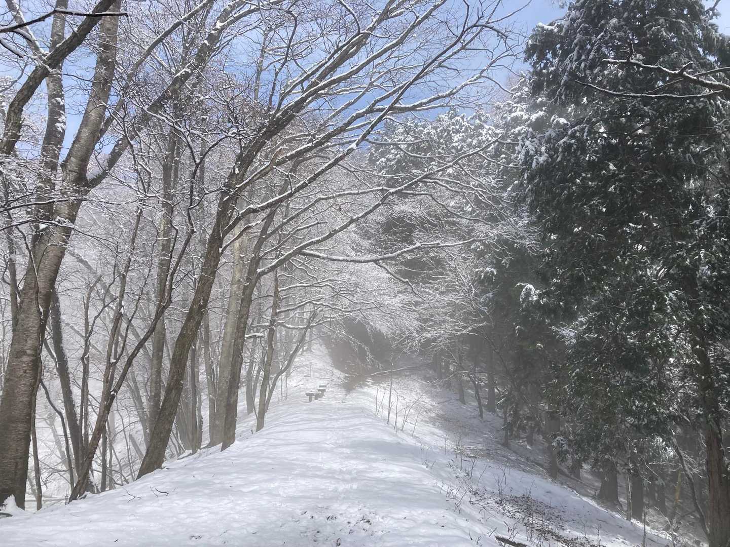 奥多摩駅〜鳩ノ巣駅｜本仁田山・鋸尾根・川苔山縦走コースの写真
