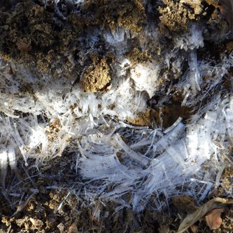 道はほとんど乾燥していたが、霜柱が溶けて少しぬかるんでいるところも