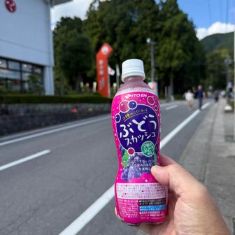 無事に下山し、ブドウスカッシュで乾杯。

来週は北アルプスへ行くので良い脚慣らしになった✌️
