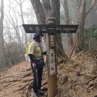 鍋割山　山頂1,084m
此処から奥の院へ間違えない様に　ピンテがるので、左側を行ったら間違えでした
ルートが無くなった
正しくは、看板右側を行く