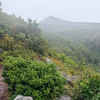 途中から雨でほぼ写真撮らず☔️最後に見納め👋🏻
ずぶ濡れになりましたが無事下山🙌🏻
