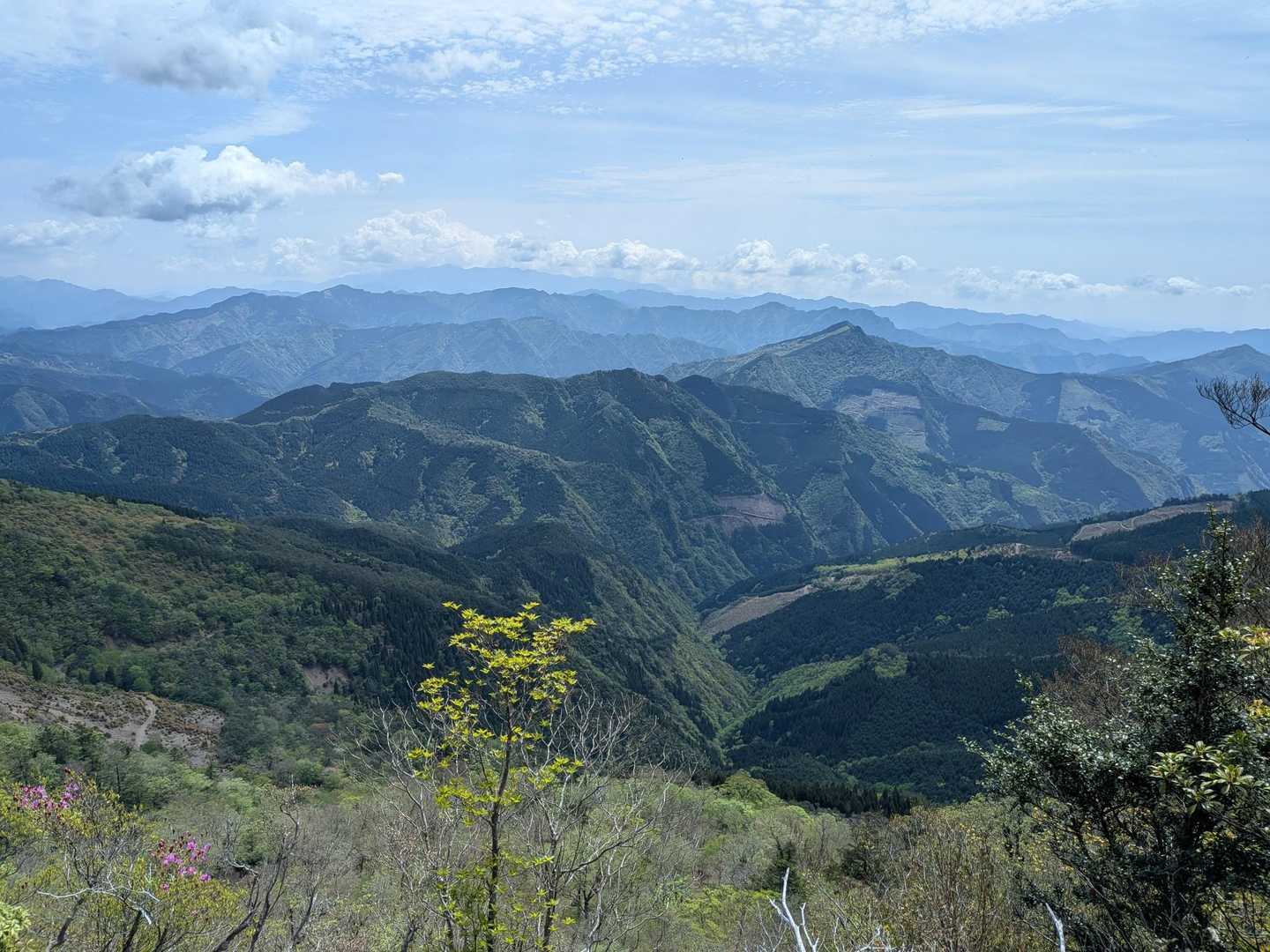 1合目　登山口-石堂山 往復コースの写真