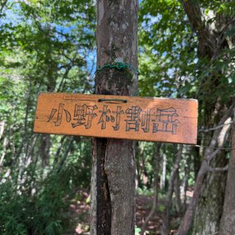 漢字五文字の山名はこの辺りでは珍しいかも