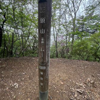 1500m超えてる！