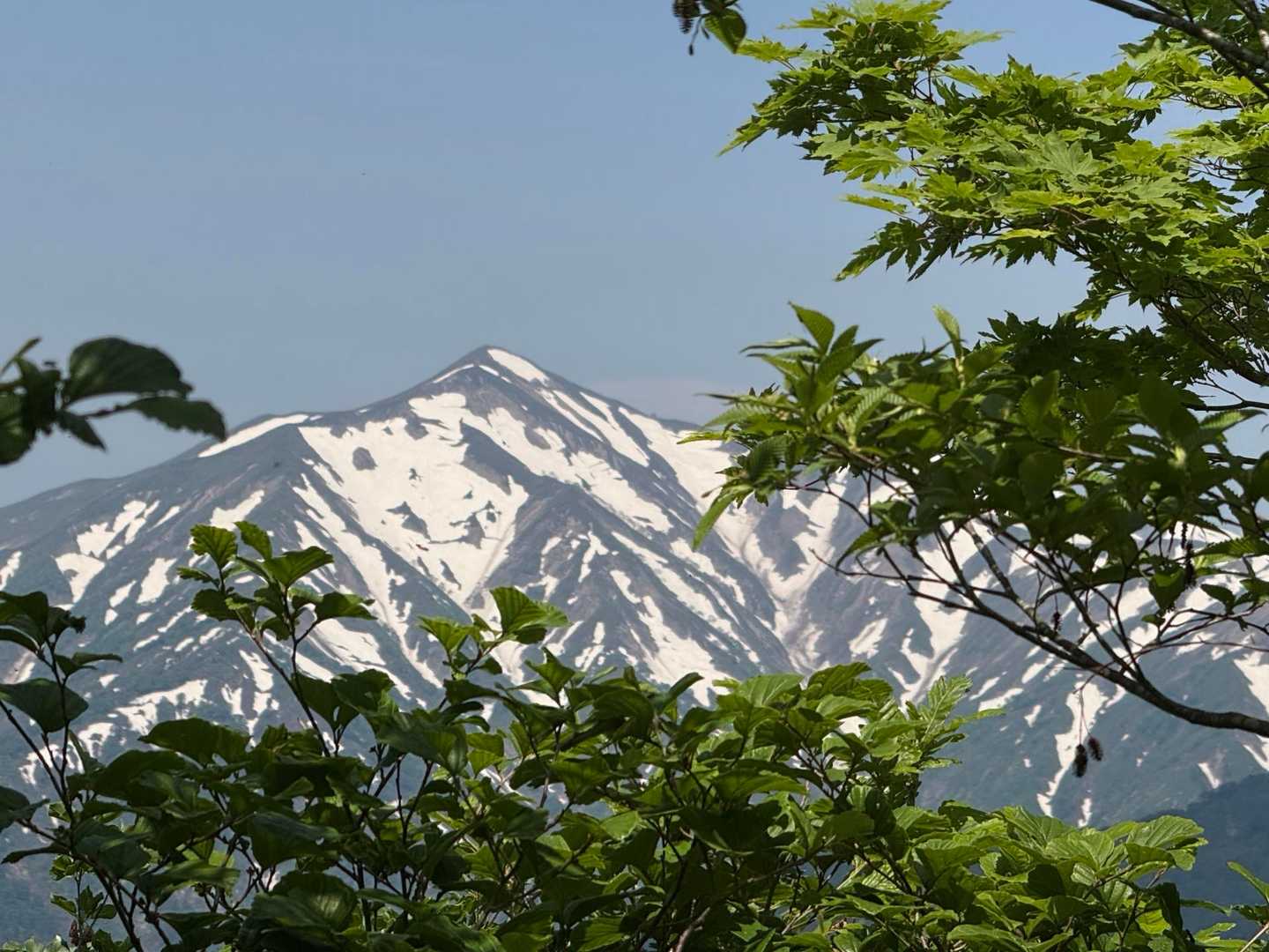 隙間から　　近い！
🛖が薄ら見える👀