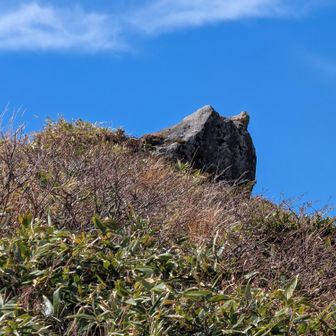 にゃんこ岩👀笊森山山頂に有ります🫡