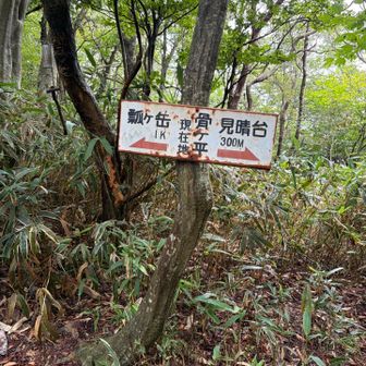 骨ケ平