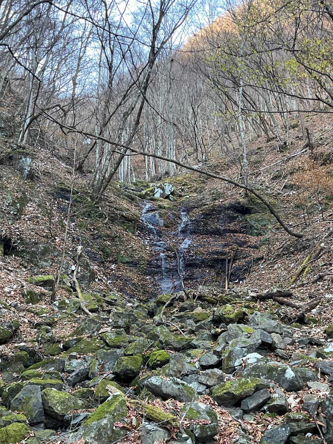 諏訪山楢原登山口-大江権現堂-ヤツウチグラ-諏訪山 往復コースの写真
