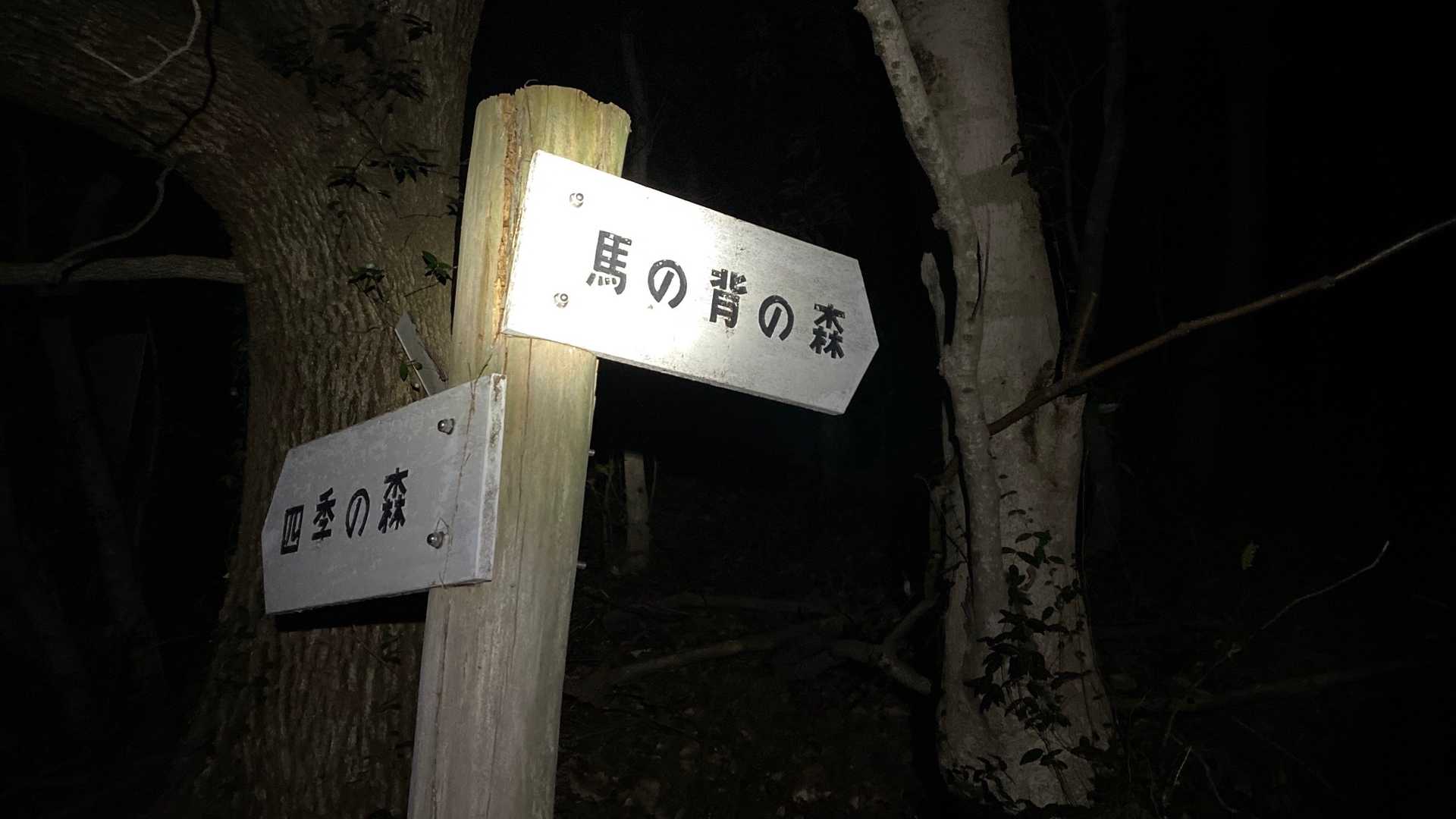 馬の背登山口 往復コースの写真