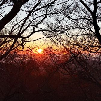 太陽出ちまった😨
