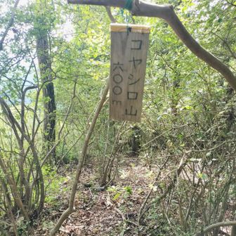 下りばかりと走っていたらの登返し、キツかった💦