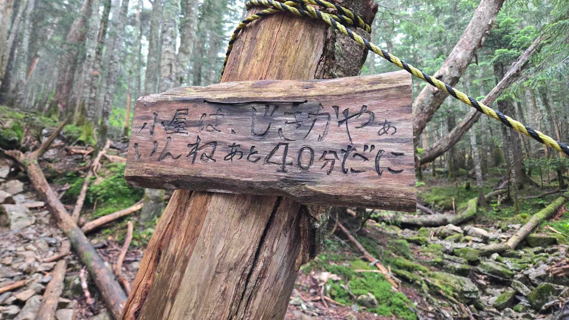 小屋はじきかやぁ
いんね
あと40分だに