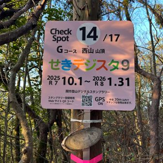 もう１つのチェックポイント西山は眺望なし😋