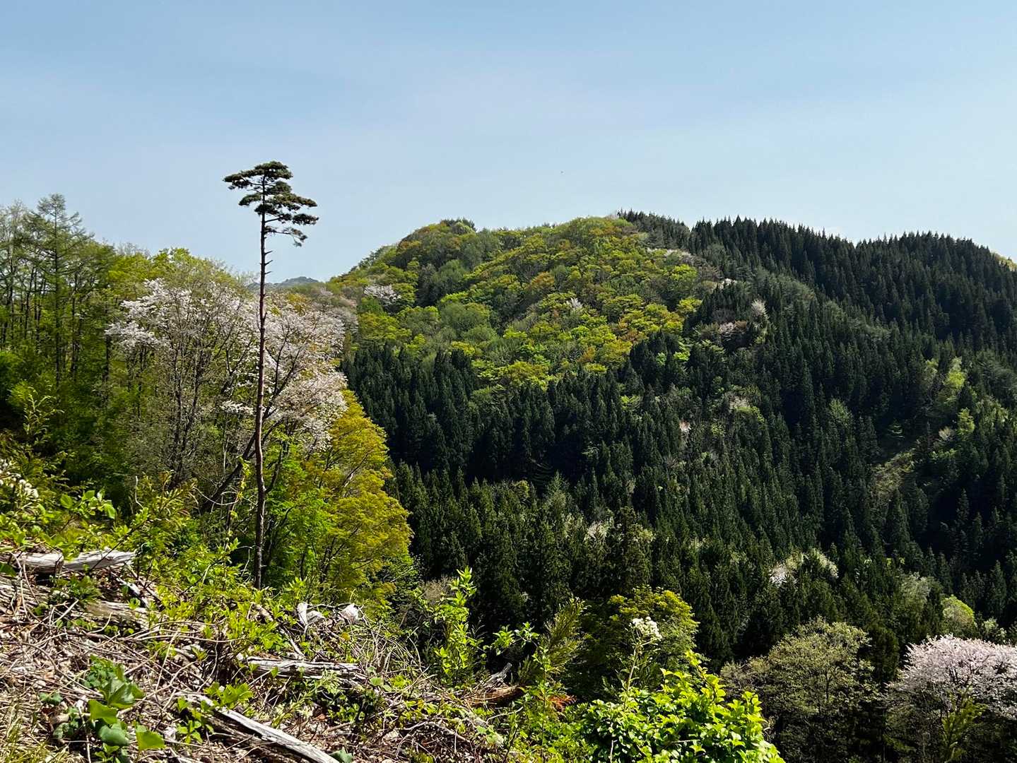 保呂羽山 周回コースの写真