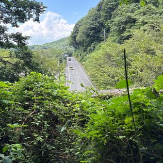 トンネル上通過