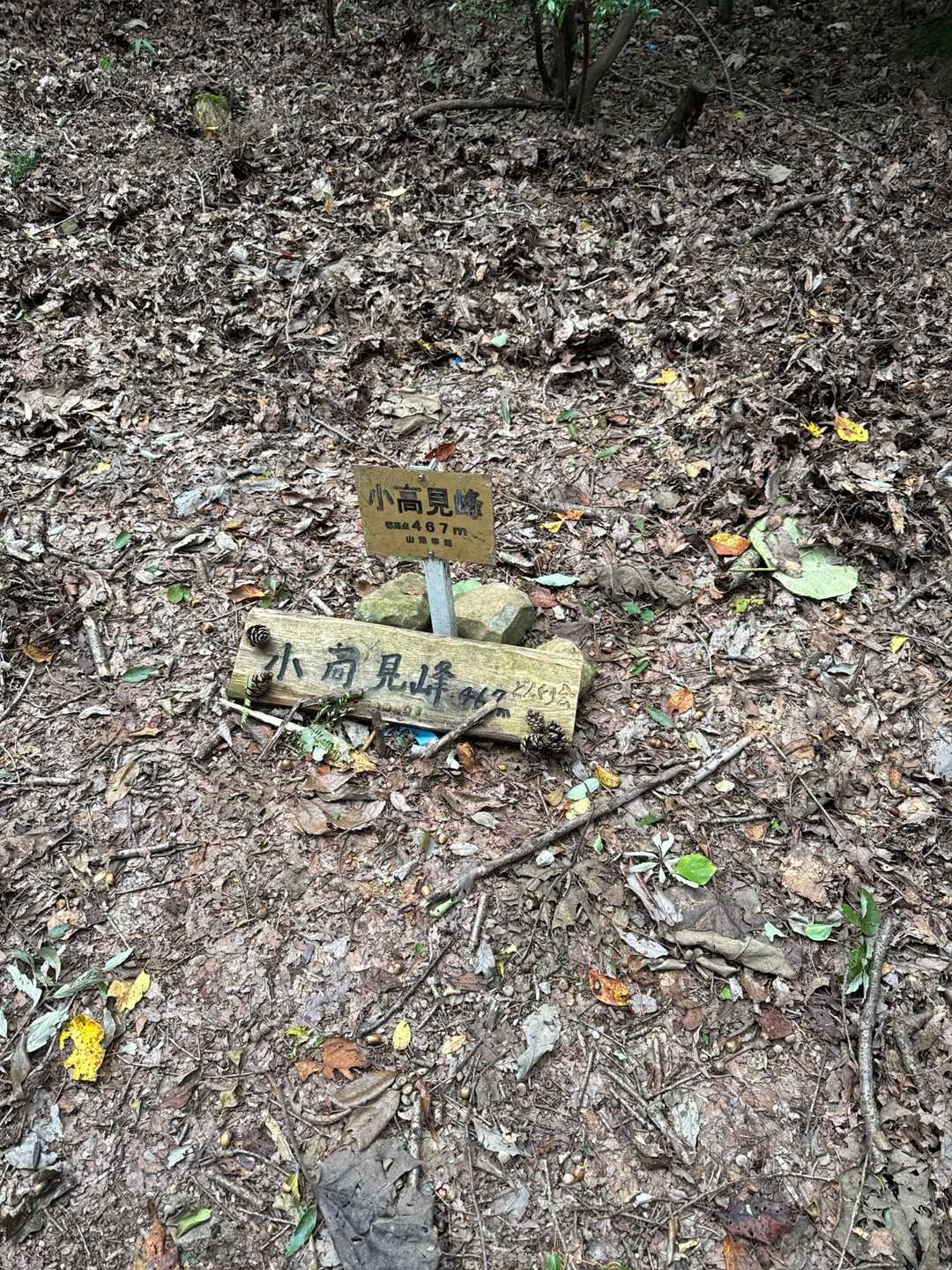 小高見峰の頂上。眺望なし。