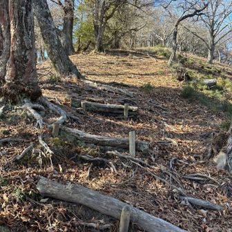 ある程度の舗装あり