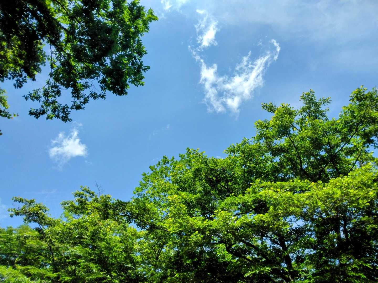 空がきれい