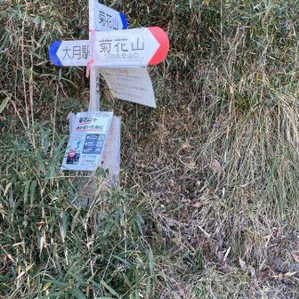 お墓の横から登山口へ。いきなり急登です💦