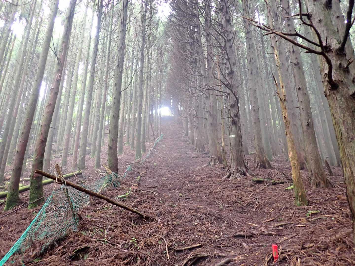 
山頂まであと400mの急登です