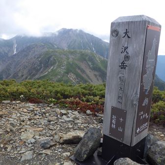 大沢岳登頂。
腹ごしらえしてたら、雲が湧き始め、引き返し始める。