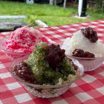 穂高平小屋でかき氷🍧
私は宇治抹茶🍵

たくさん動き、笑い、歌い😁、食し…

あんばたにとって、最高の思い出となりました。　ｱﾘｶﾞﾄｻﾝｷｭｰ