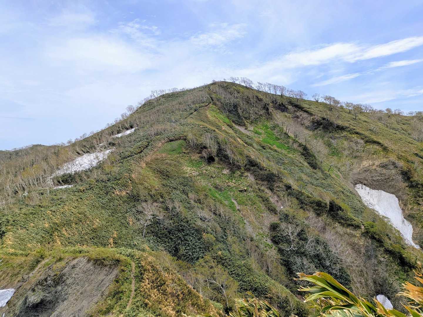 樺戸山から下り隈根尻山へ。
下った先から見上げた樺戸山。