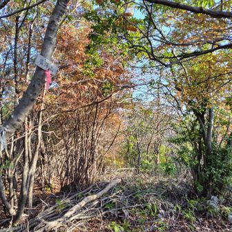 あっという間に廣澤