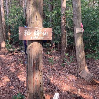 和尚山山頂。ここは展望はない。