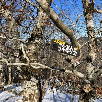 久しぶりに弥勒岳にも登ってみる