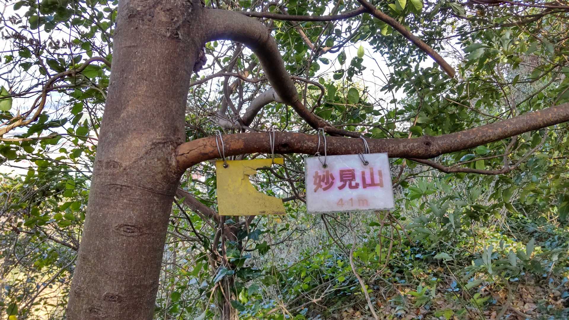 妙見山（みょうけんやま）に到着です