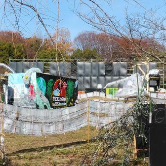 なんか微妙なライトアップ会場