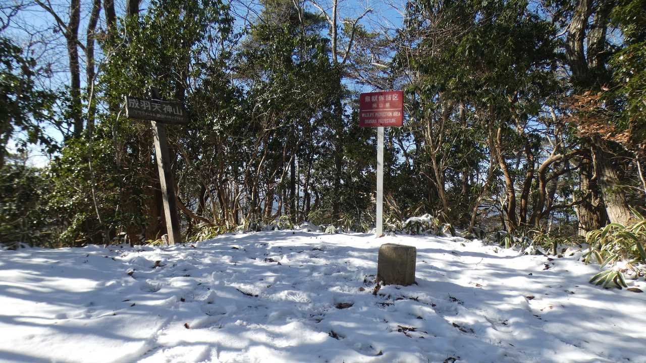 山頂
一等三角点
基準点名：天神山（てんじんやま）

山頂は眺望ありません