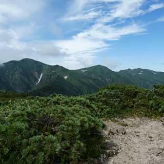 左端が大朝日岳
そこから続く朝日連峰の山々