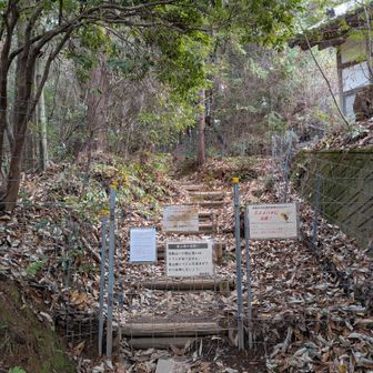 鳥獣柵を開けて進みます