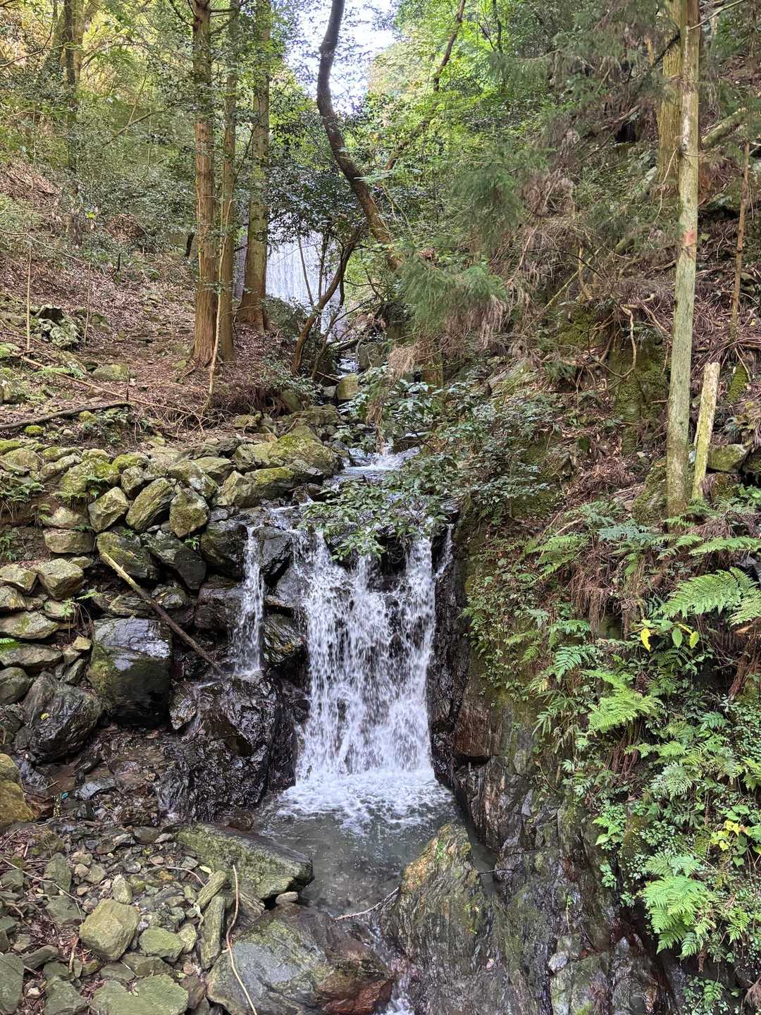 古処山-屏山 往復コースの写真