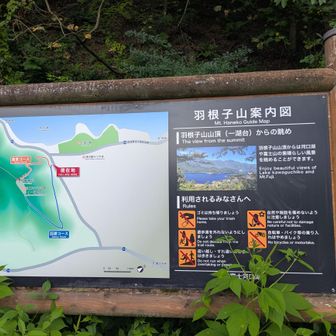羽根子山は一湖台
1、3、5があるんですね!