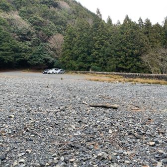 ここまで車来れるんですね