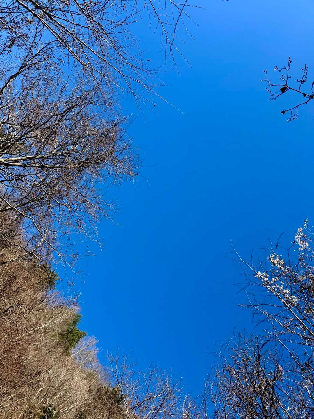 青空!!