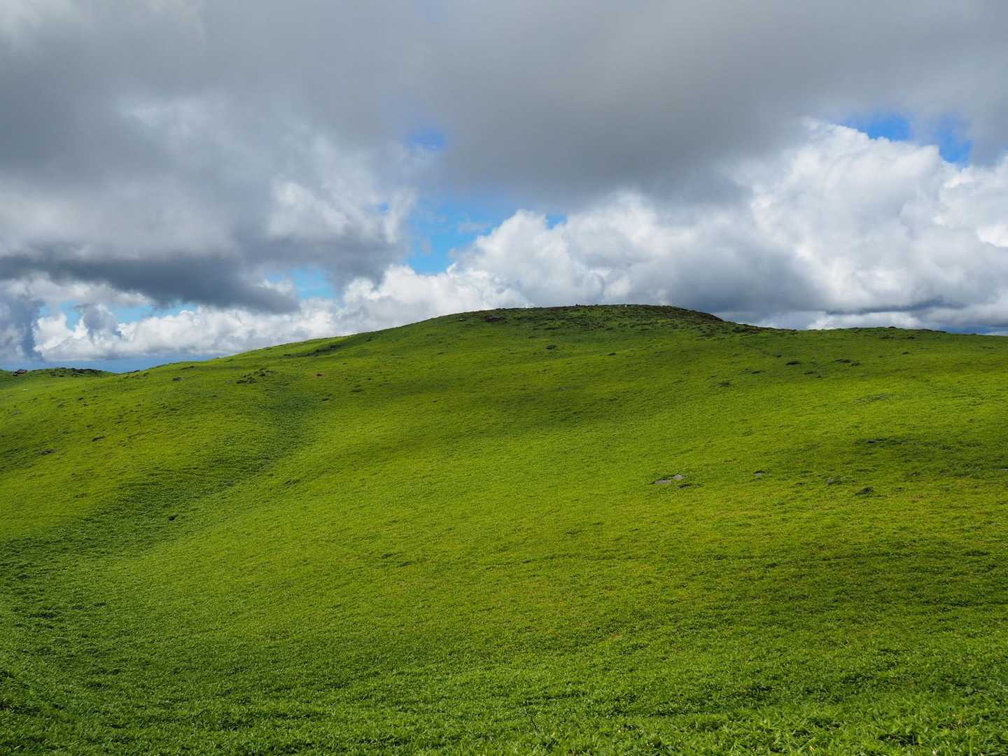 天狗塚登山口-第1ピーク-天狗塚-牛の背 往復コースの写真